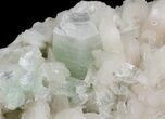 Zoned Apophyllite Crystals on Stilbite Association - India #44445-2